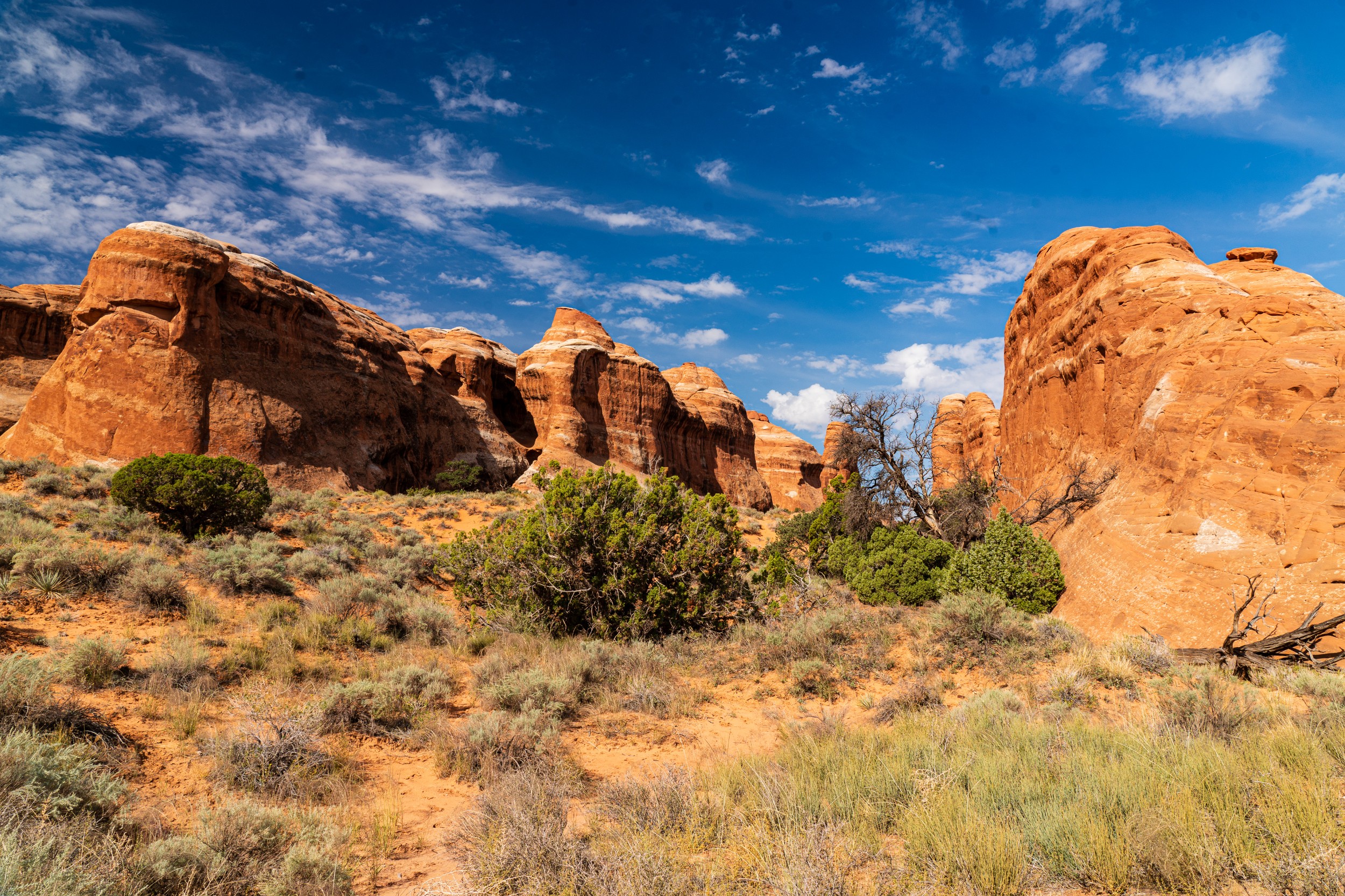 USA 2024 5 Sterne 115